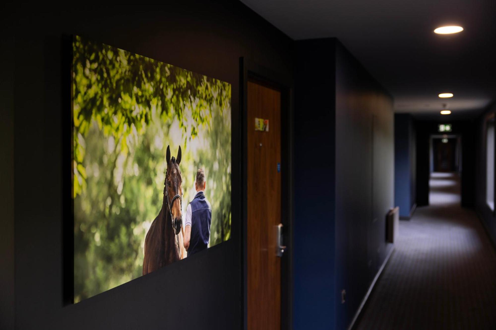 The Club Hotel At Goffs Naas Exteriör bild